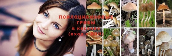 спайс Абинск