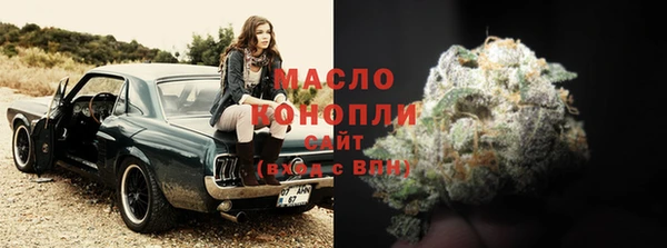 винт Абаза