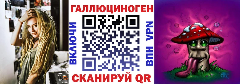 KRAKEN рабочий сайт Кедровый Псилоцибиновые грибы ЛСД