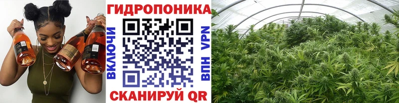 хочу наркоту  Кедровый  Марихуана Amnesia 